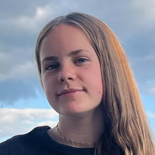 Nim Vuilloud